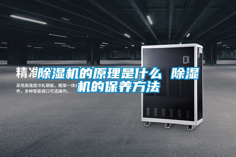 除湿机的原理是什么 除湿机的保养方法