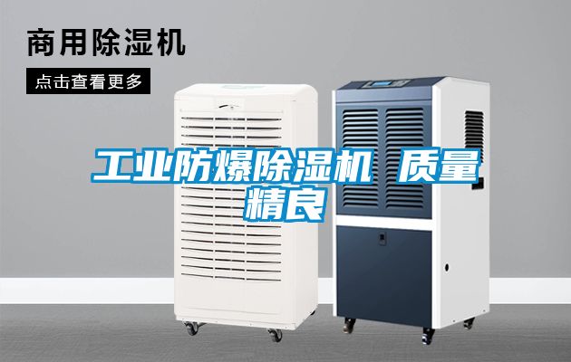 工业防爆除湿机 质量精良