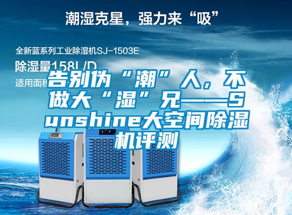 告别伪“潮”人，不做大“湿”兄——Sunshine大空间除湿机评测