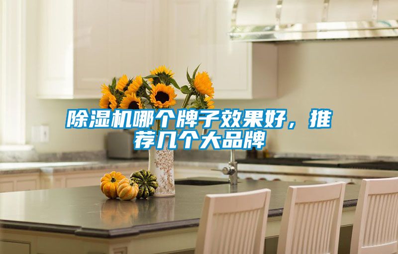 除湿机哪个牌子效果好，推荐几个大品牌