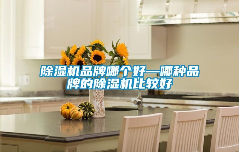 除湿机品牌哪个好—哪种品牌的除湿机比较好