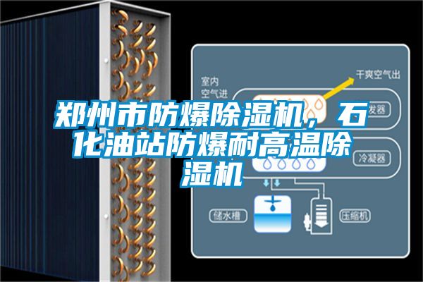 郑州市防爆除湿机，石化油站防爆耐高温除湿机