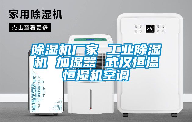 除湿机厂家 工业除湿机 加湿器 武汉恒温恒湿机空调