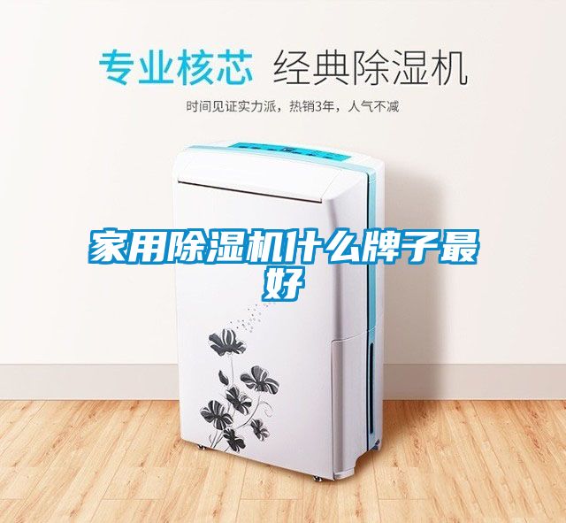 家用除湿机什么牌子最好