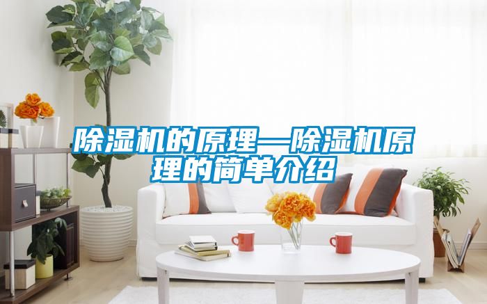 除湿机的原理—除湿机原理的简单介绍
