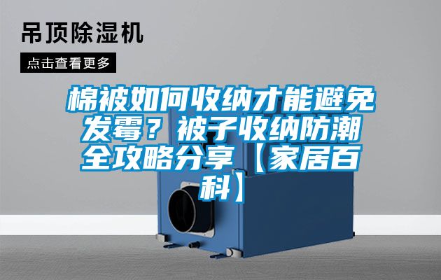 棉被如何收纳才能避免发霉？被子收纳防潮全攻略分享【家居百科】