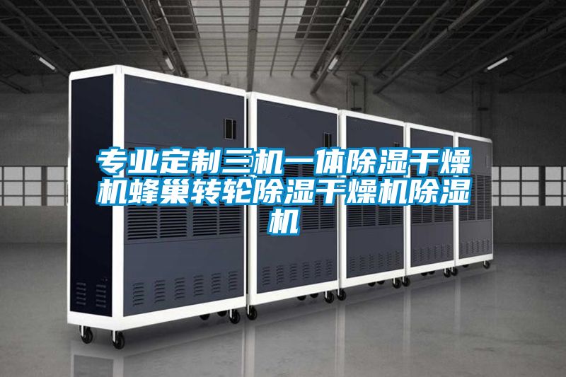 专业定制三机一体除湿干燥机蜂巢转轮除湿干燥机除湿机