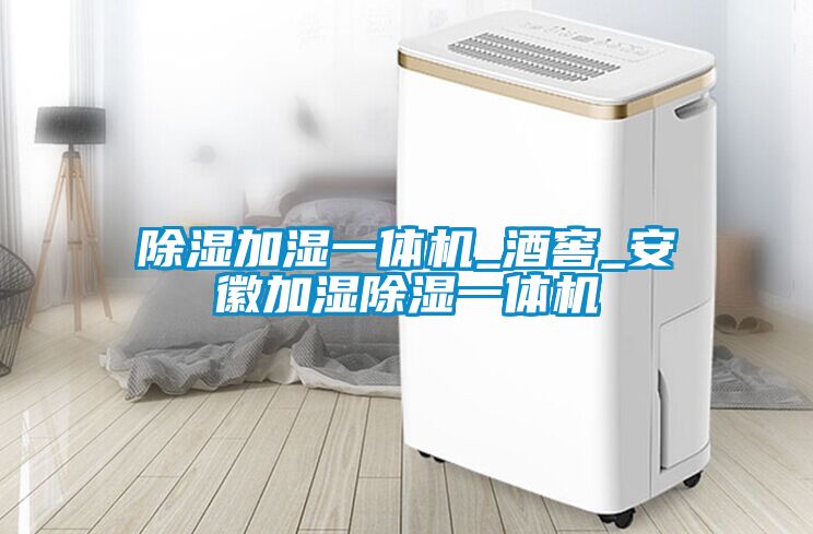 除湿加湿一体机_酒窖_安徽加湿除湿一体机