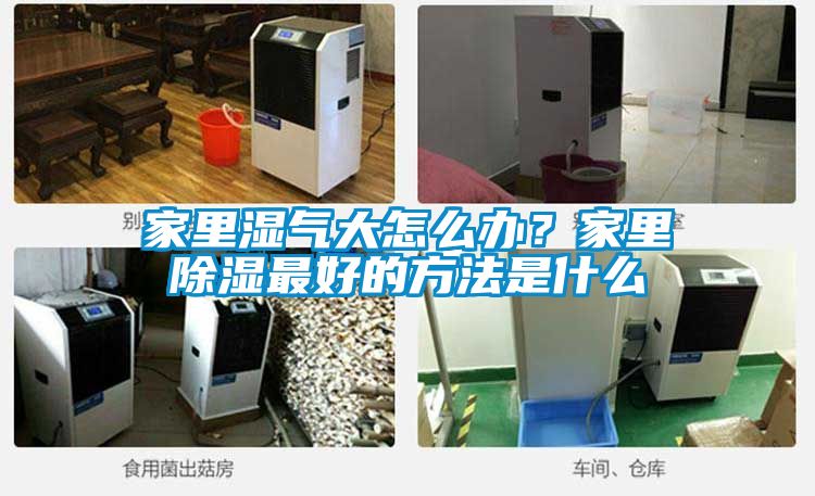 家里湿气大怎么办？家里除湿最好的方法是什么