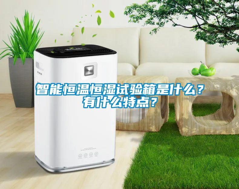 智能恒温恒湿试验箱是什么？有什么特点？