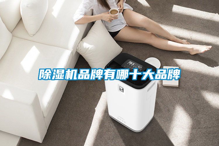 除湿机品牌有哪十大品牌
