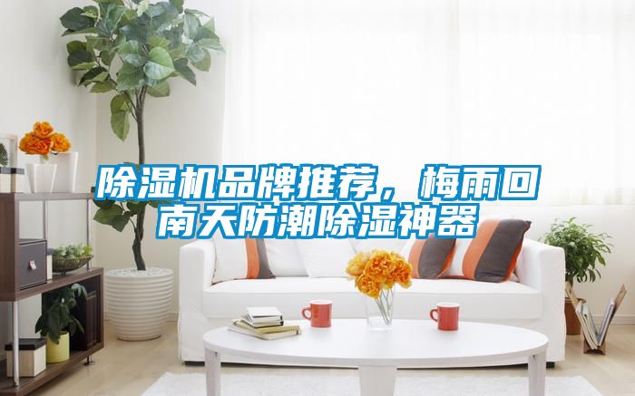 除湿机品牌推荐，梅雨回南天防潮除湿神器