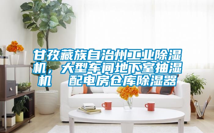 甘孜藏族自治州工业除湿机，大型车间地下室抽湿机  配电房仓库除湿器