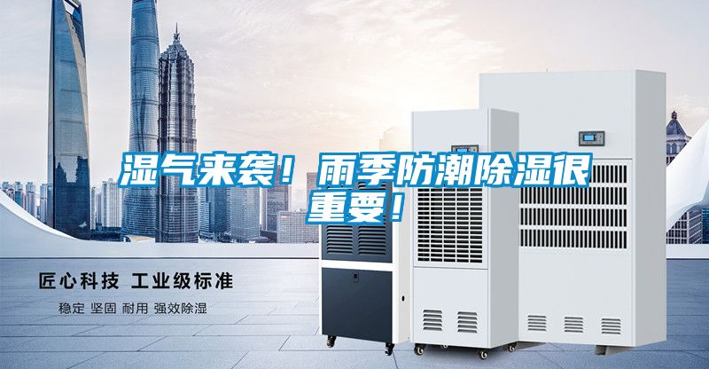 湿气来袭！雨季防潮除湿很重要！