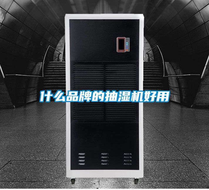什么品牌的抽湿机好用