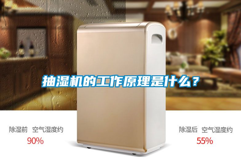抽湿机的工作原理是什么？