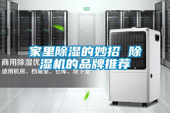 家里除湿的妙招 除湿机的品牌推荐