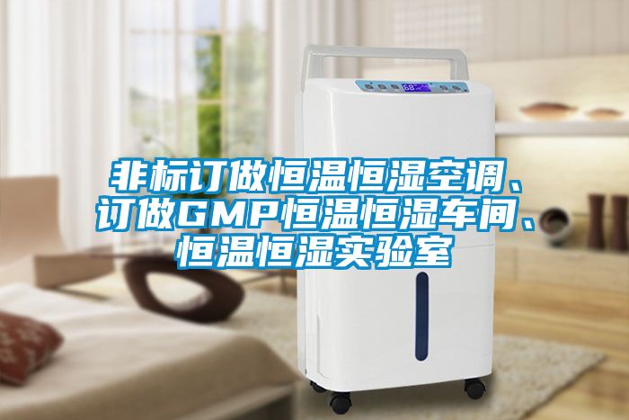非标订做恒温恒湿空调、订做GMP恒温恒湿车间、恒温恒湿实验室