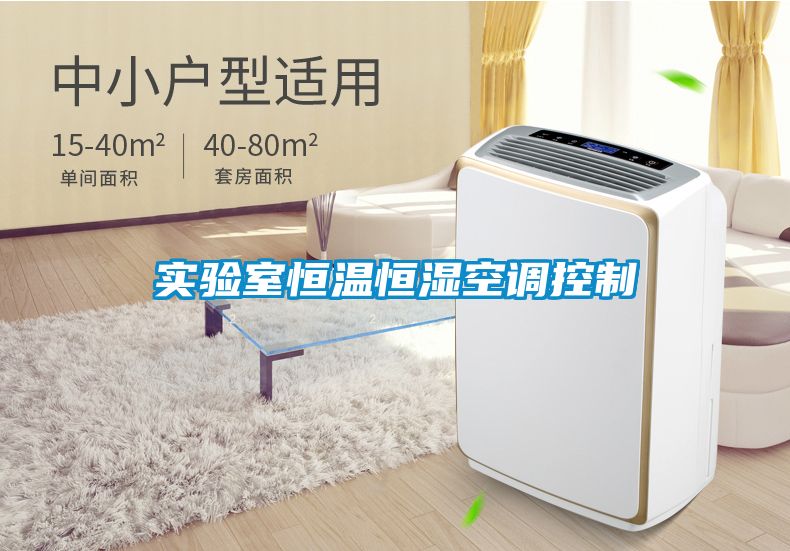 实验室恒温恒湿空调控制