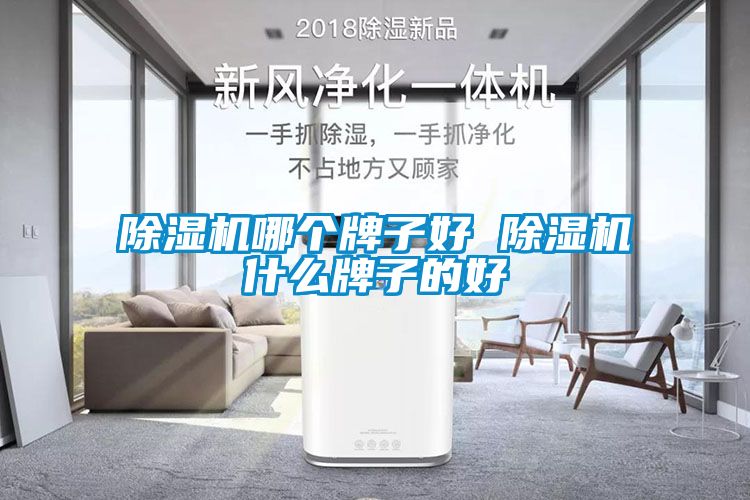 除湿机哪个牌子好 除湿机什么牌子的好