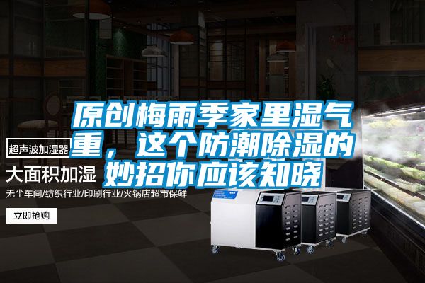 原创梅雨季家里湿气重，这个防潮除湿的妙招你应该知晓