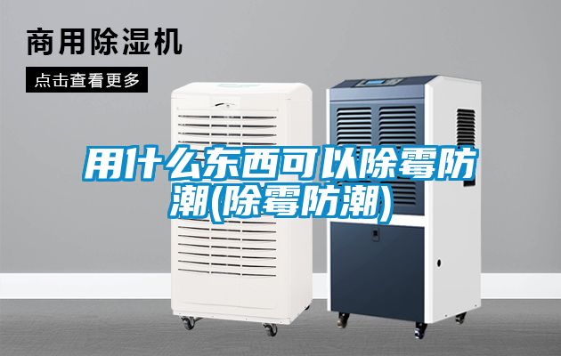 用什么东西可以除霉防潮(除霉防潮)