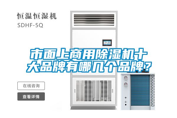市面上商用除湿机十大品牌有哪几个品牌？