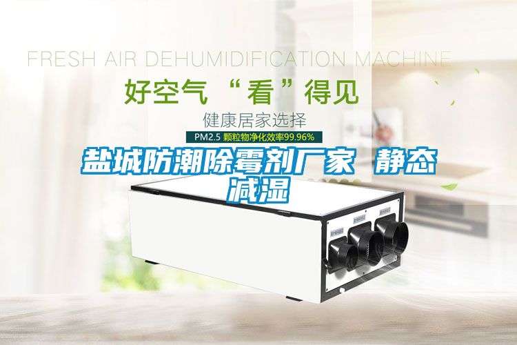 盐城防潮除霉剂厂家 静态减湿