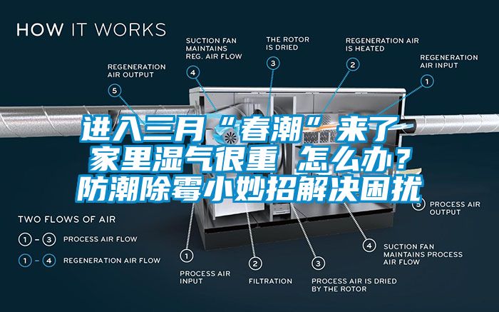 进入三月“春潮”来了 家里湿气很重 怎么办？防潮除霉小妙招解决困扰