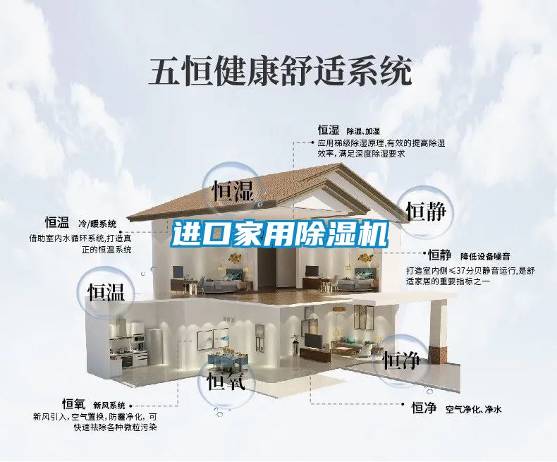 进口家用除湿机