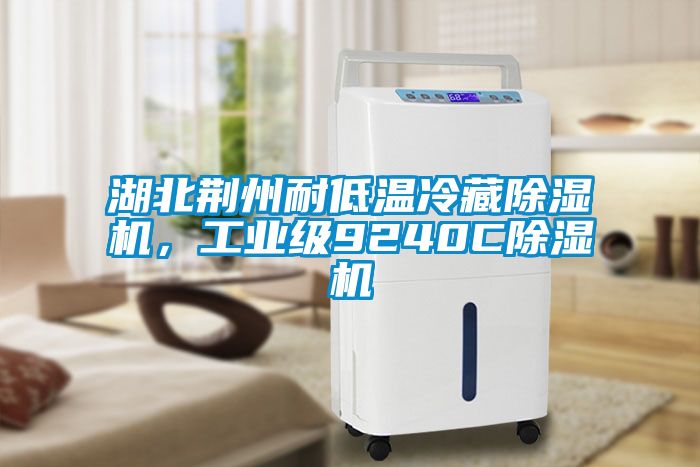 湖北荆州耐低温冷藏除湿机，工业级9240C除湿机
