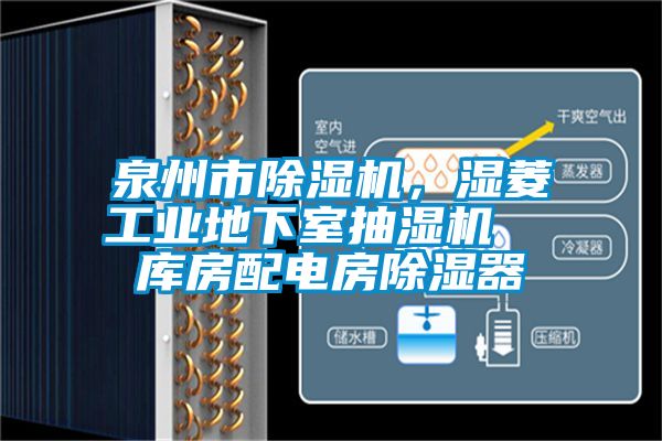 泉州市除湿机，湿菱工业地下室抽湿机  库房配电房除湿器