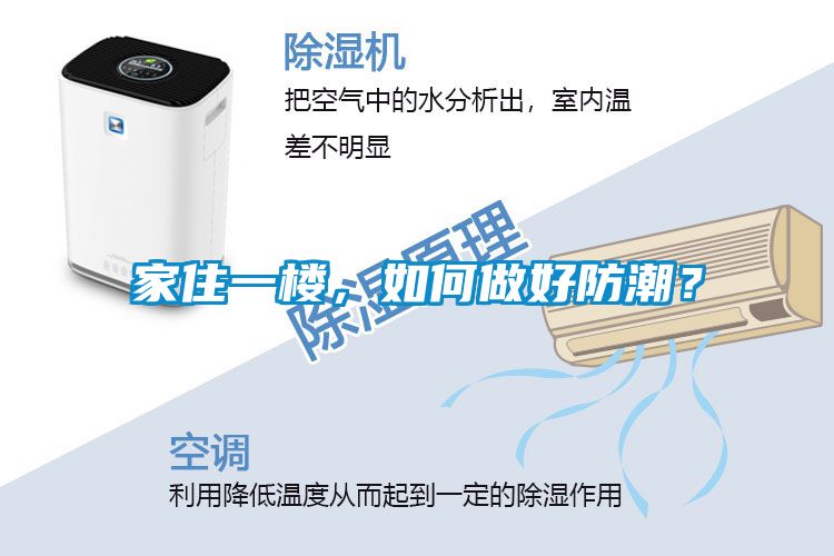 家住一楼，如何做好防潮？