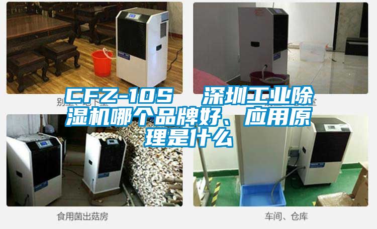 CFZ-10S  深圳工业除湿机哪个品牌好、应用原理是什么