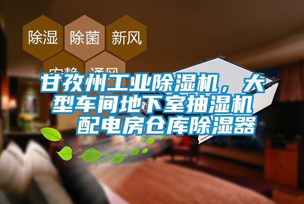 甘孜州工业除湿机，大型车间地下室抽湿机  配电房仓库除湿器