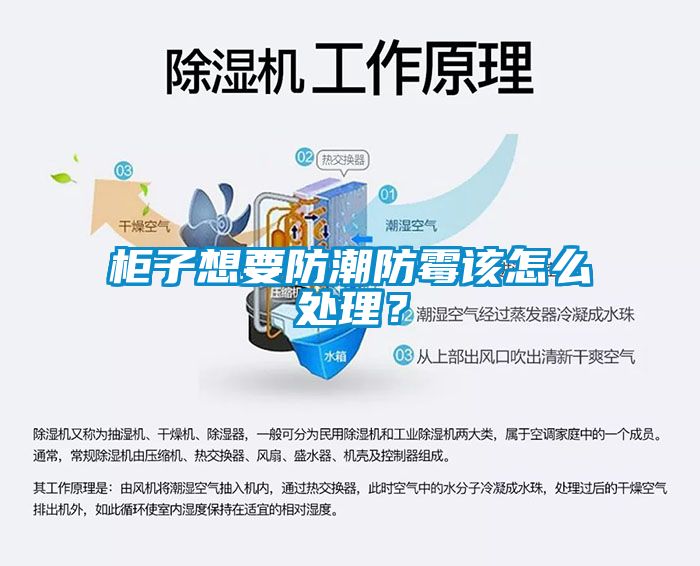 柜子想要防潮防霉该怎么处理？